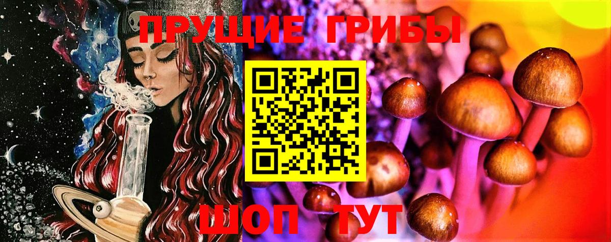 Елабуга  Псилоцибиновые грибы ЛСД  Вход с VPN 